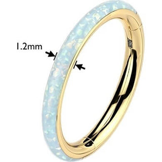 Titanium Ring opal Segment