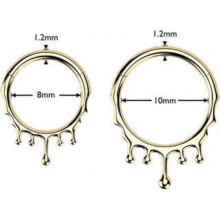 Titanium Ring drops Segment