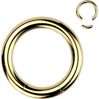Ring Colour Segment