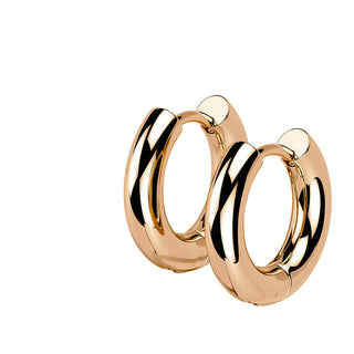 Earring 3mm Thick Clicker