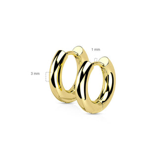 Earring 3mm Thick Clicker