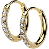Earring Hoop Earrings zirconia