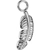 Titanium Attachment Titan Dangle Leaf Charm