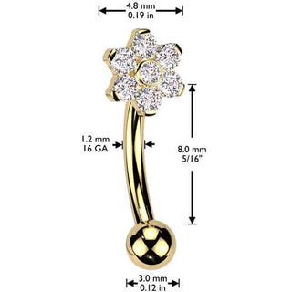 Titanio Barbell Curvo flor circonita Rosca interna