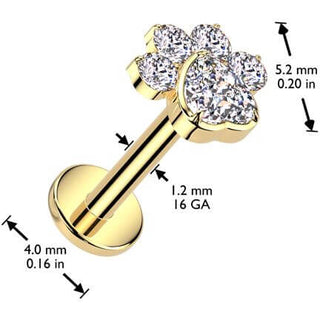 Titanio pata circonita Rosca interna Labret