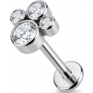 Titanio Huella de Pata Brillante Rosca interna Labret