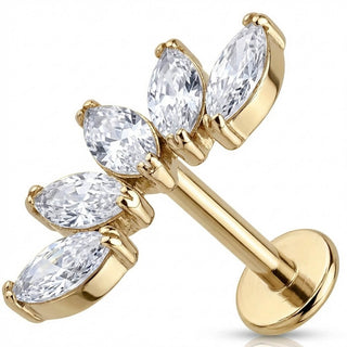 Titanio Rama Curva Cinco Marquesas Rosca interna Labret