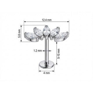 Titanio Rama Curva Cinco Marquesas Rosca interna Labret