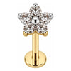 Titanium Labret Clear Crystal Flower Blossom Internally Threaded