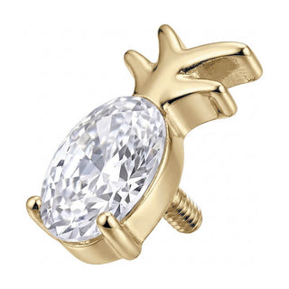 Titanium Top Pineapple With Zirconia Internally Threaded