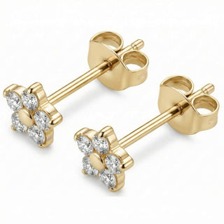 Titanium Earring Five Petal Flower Blossom