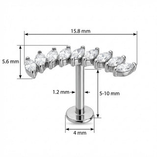 Titanio Enredadera Curva Cristales Marquise Rosca interna Labret