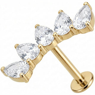 Titanio Arco Curvo Cinco Cristales Pera Rosca interna Labret