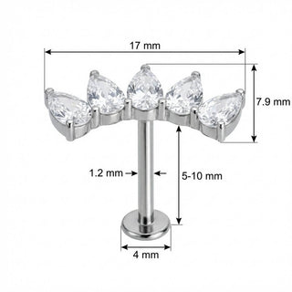 Titanio Arco Curvo Cinco Cristales Pera Rosca interna Labret