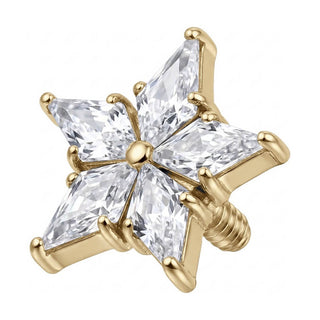 Titanium Top Six Point Star Internally Threaded