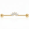 Titanium Industrial Barbell Marquise Crystal Fan