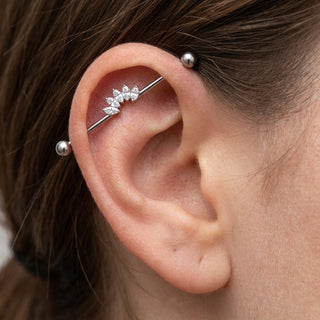Titanium Industrial Barbell Marquise Crystal Fan Internally Threaded – getragen