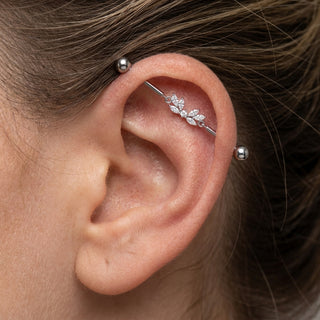 Titanium Industrial Barbell Leaf Cluster Centerpiece Internally Threaded – getragen