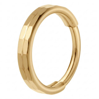 Titanium Ring Faceted Clicker