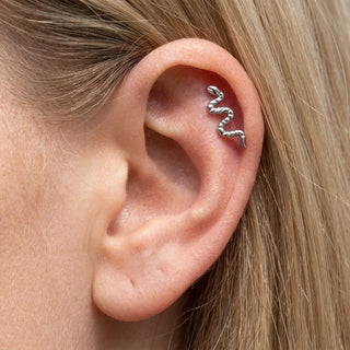 Titanium Top Slithering Coiled Snake Internally Threaded – getragen