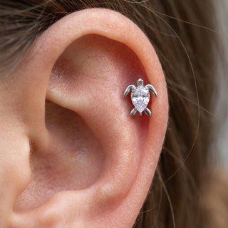 Titanium Top Turtle With Clear Stone Internally Threaded – getragen