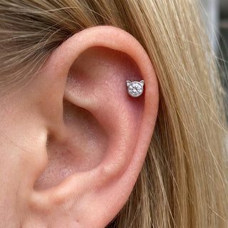 Titanium Top Cat Ears Round Stone Internally Threaded – getragen