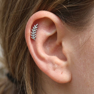 Titanium Top Curved Fern Branch Internally Threaded – getragen