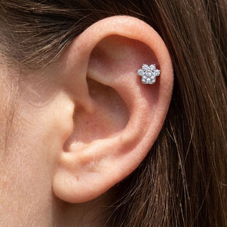 Titanium Labret Paw Zirconia Internally Threaded