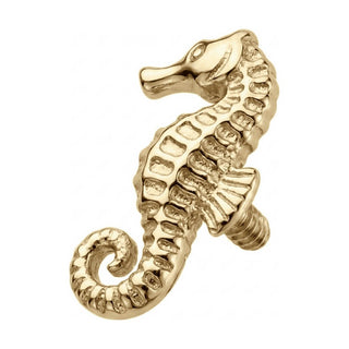 Titanium Top Ocean Seahorse Shape Internally Threaded