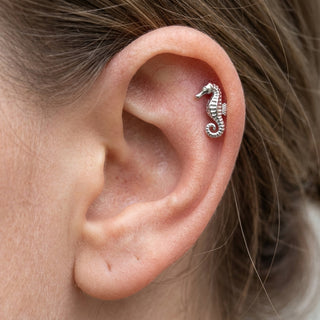 Titanium Top Ocean Seahorse Shape Internally Threaded – getragen