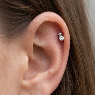 Titanium Top Star Beside Round Stone Internally Threaded – getragen
