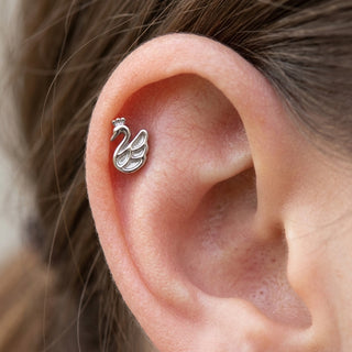 Titanium Top Swan With A Crown Internally Threaded – getragen