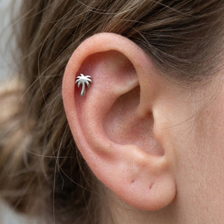 Titanium Top Palm Tree Internally Threaded – getragen