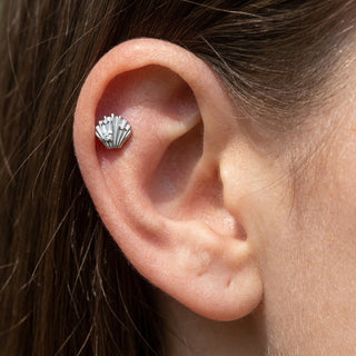 Titanium Top Scallop Shell With Stones Internally Threaded – getragen