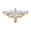 Titanium Top Winged Stone Cluster Internally Threaded