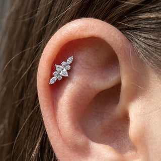 Titanium Top Winged Stone Cluster Internally Threaded – getragen