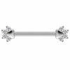 Titanium Nipple Piercing Animal Paw Print Zirconia Internally Threaded