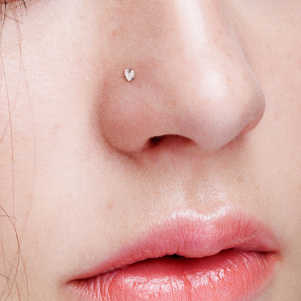 Joyería del Piercing Nostril